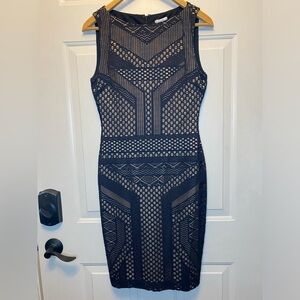 Cache Elegant Black Lace Dress Nude Lining Sleeveless Sz 4 Evening Formal